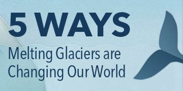 5 Ways Melting Glaciers are Changing Our World